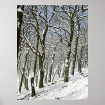 Impressão em tela cartão de inverno da floresta de