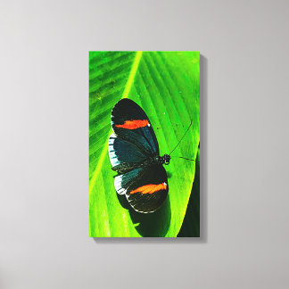 Impressão Em Tela Carteiro Vermelho