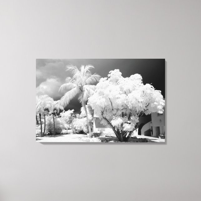 Impressão Em Tela Casa Florida Keys e suas palmeiras, EUA. 2 (Frente)