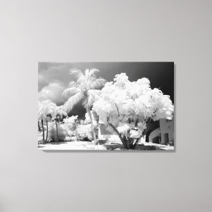 Impressão Em Tela Casa Florida Keys e suas palmeiras, EUA. 2