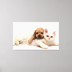 Impressão Em Tela Cat e Puppy