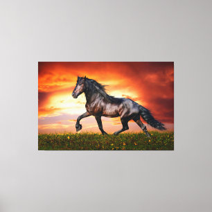 Impressão Em Tela Cavalo