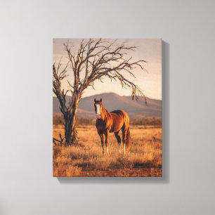 Impressão Em Tela Cavalo Baio Pôr do Sol Pradaria Pintura