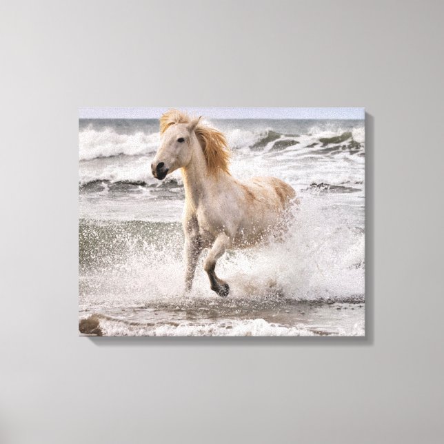 Impressão Em Tela Cavalo Camargue saindo da arrebentação (Frente)