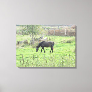 Impressão Em Tela Cavalo Castanho Grazing in Field Photo Wall Art