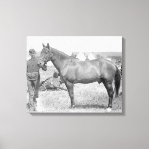 Impressão Em Tela Cavalo "Comanche", o único sobrevivente do Custer