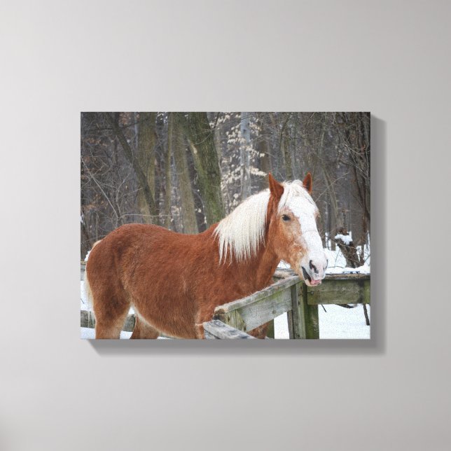 Impressão Em Tela Cavalo de Rascunho na Neve (Frente)