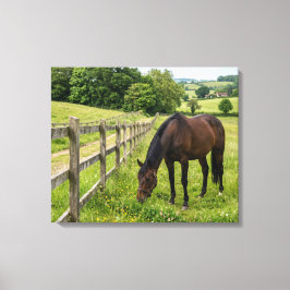 Impressão Em Tela Cavalo do Prado Rural