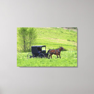 Impressão Em Tela Cavalo e carruagem Amish perto de Berlim, Ohio.