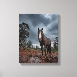 Impressão Em Tela Cavalo Forte Sob Céu Tempestuoso Arte