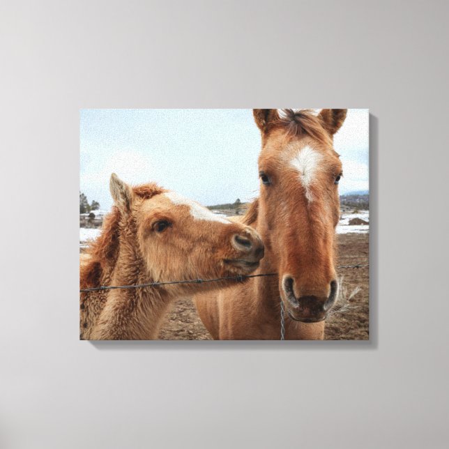 Impressão Em Tela Cavalo Mãe e Potro (Frente)