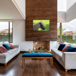 Impressão Em Tela Cavalo Miniatura Castanho com Mana Loura