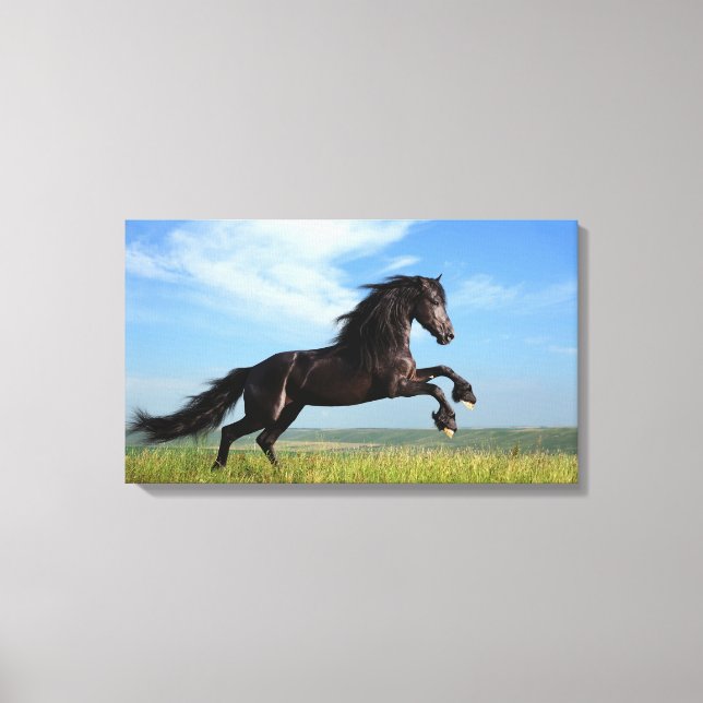 Impressão Em Tela Cavalo Negro (Frente)