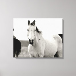 Impressão Em Tela Cavalo Negro e Branco nas Colinas Flint