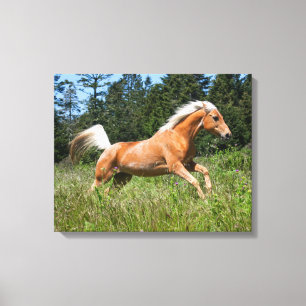 Impressão Em Tela Cavalo Palomino Correndo por um Prado