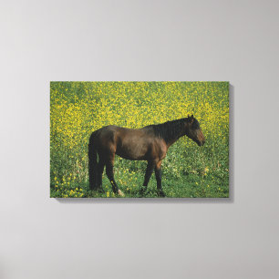 Impressão Em Tela Cavalo selvagem do mustang que está nas flores