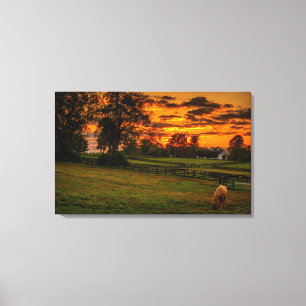 Impressão Em Tela Cavalo solitário no pôr do sol