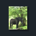 IMPRESSÃO EM TELA CAVALOS<br><div class="desc">Um belo cavalo negro descansando à sombra de uma árvore. Aquarela. País de Gales, Reino Unido.</div>