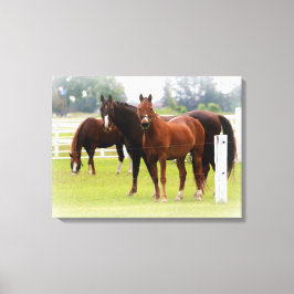 Impressão Em Tela Cavalos/Canvas