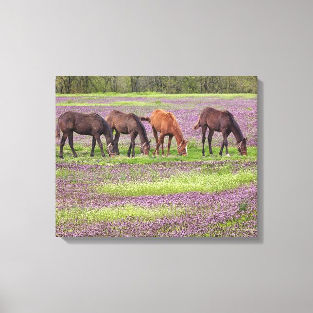 Impressão Em Tela Cavalos de raça pura no campo das flores de hébita (Frente)