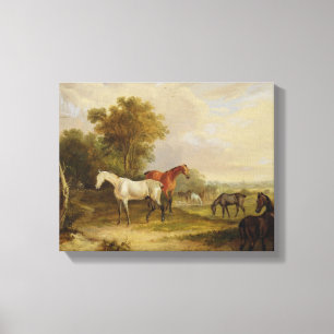 Impressão Em Tela Cavalos que pastam: Um garanhão cinzento que past