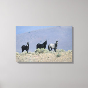 Impressão Em Tela Cavalos selvagens do mustang no deserto 3