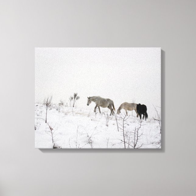 Impressão Em Tela Cavalos Selvagens Em Solteiro De Neve (Frente)