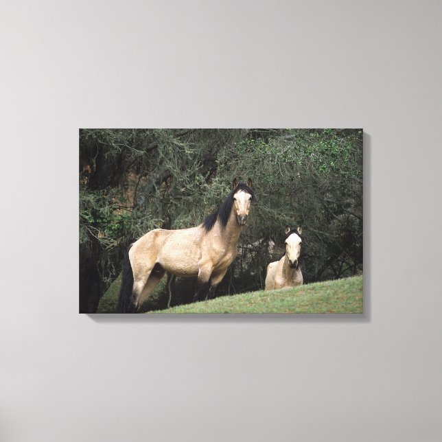 Impressão Em Tela Cavalos Selvagens Mustang 6 (Frente)