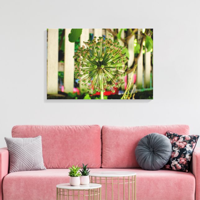 Impressão Em Tela Cebola Ornamental (Insitu(Sala de estar))