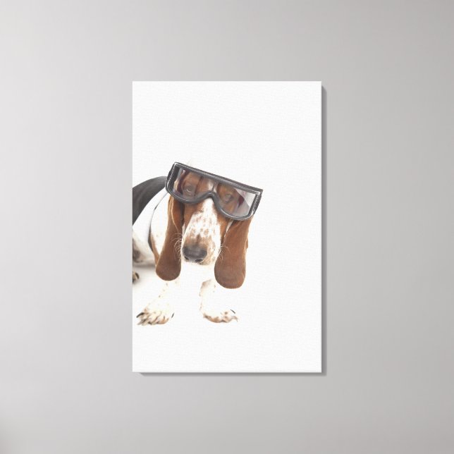 Impressão Em Tela Cecelia Erhart (Frente)