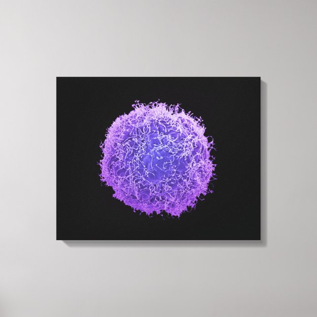 Impressão Em Tela Célula Cancer da pele humana (Frente)