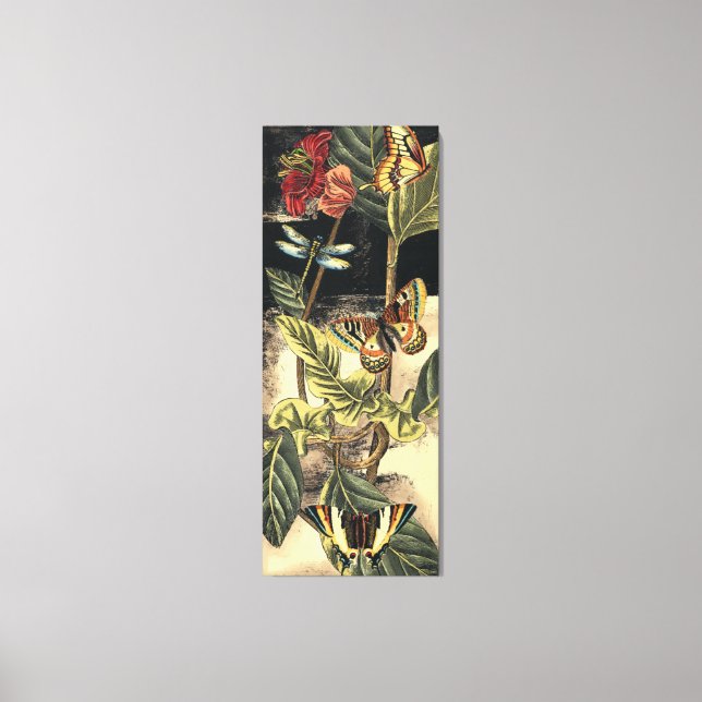 Impressão Em Tela Cena da Natureza Escura pelo Vision Studio (Frente)