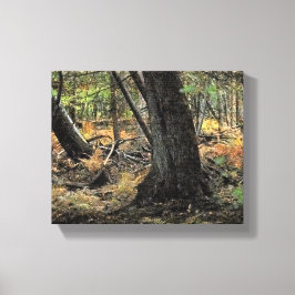 Impressão Em Tela Cena de floresta outonal          