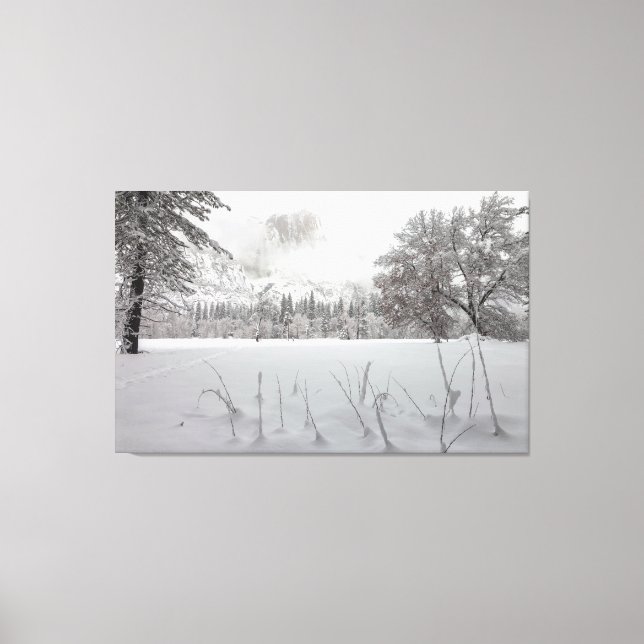 Impressão Em Tela Cena de inverno (Frente)