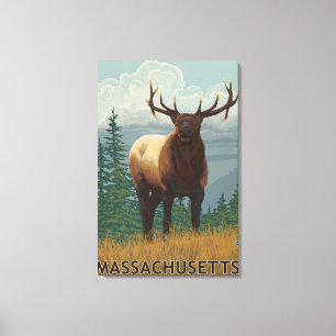 Impressão Em Tela Cena de MassachusettsElk