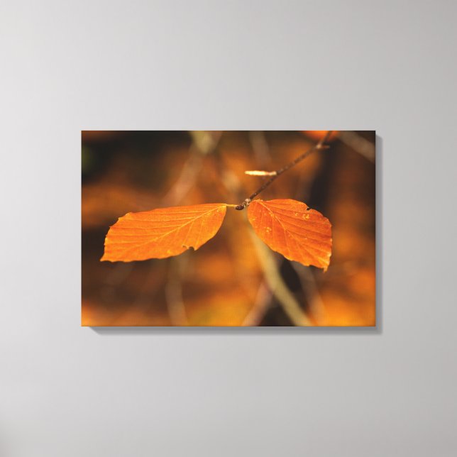 Impressão Em Tela Cena de outono (Frente)