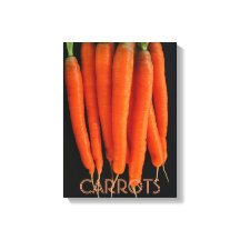 Cenouras do nosso jardim