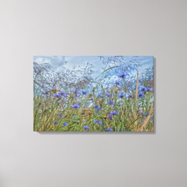 Impressão Em Tela Centáureas (Frente)