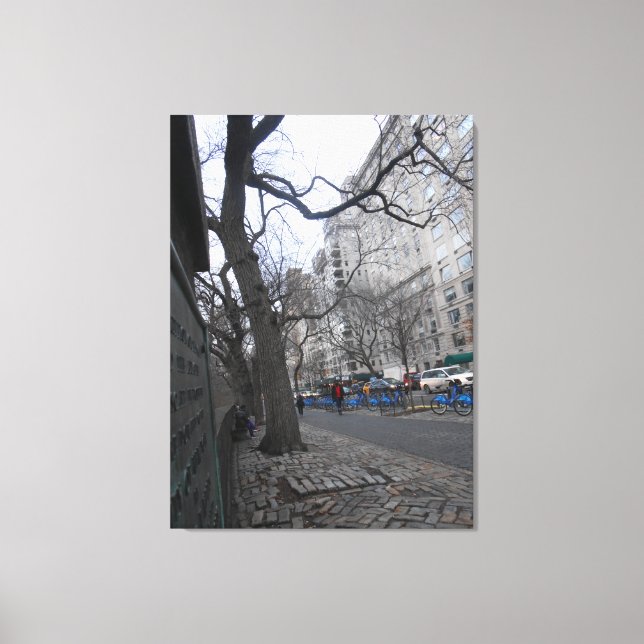 Impressão Em Tela Central Park, Nova Iorque, EUA (Frente)