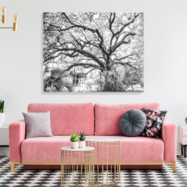 Impressão Em Tela "Century Oak" Arte de Parede Preto e Branco