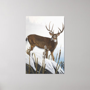 Impressão Em Tela Cervos de Whitetail