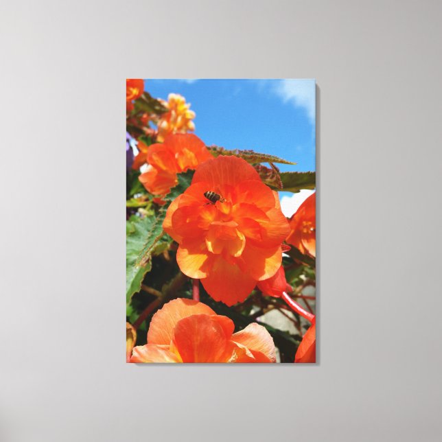 Impressão Em Tela céu, flores e abelha (Frente)