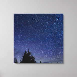 Impressão Em Tela Chá de Meteoro Perseid