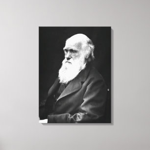 Impressão Em Tela Charles Darwin Portrait