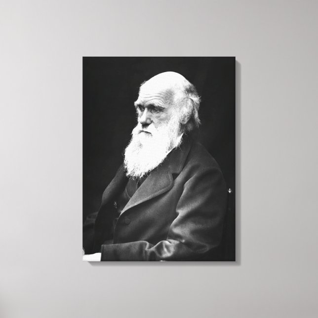 Impressão Em Tela Charles Darwin Portrait (Frente)