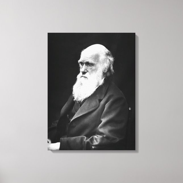 Impressão Em Tela Charles Darwin Portrait (Frente)