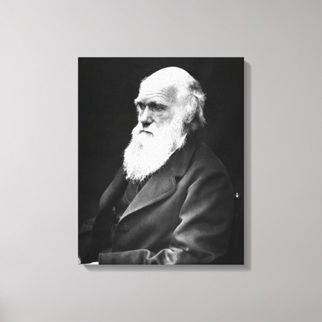 Impressão Em Tela Charles Darwin Portrait (Frente)