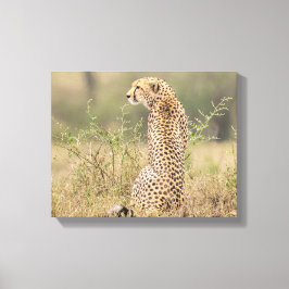 Impressão Em Tela Cheetah no cenário natural molhado