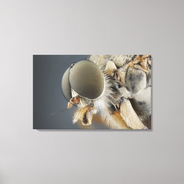 Impressão Em Tela Chefe da Mosca do Snipe (Frente)