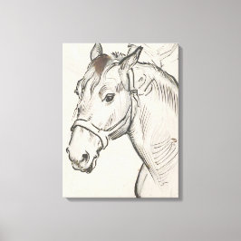 Impressão Em Tela Chefe de Cavalo (por Alfred Dehodencq)